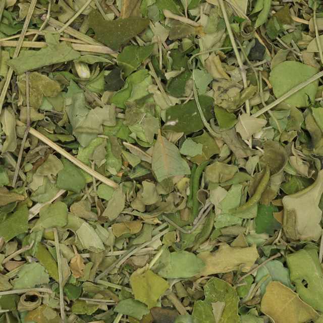 Moringa kruidentee van De Theefabriek, 6x 35 gr